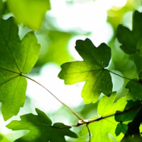 our-story-01 Our Story 01